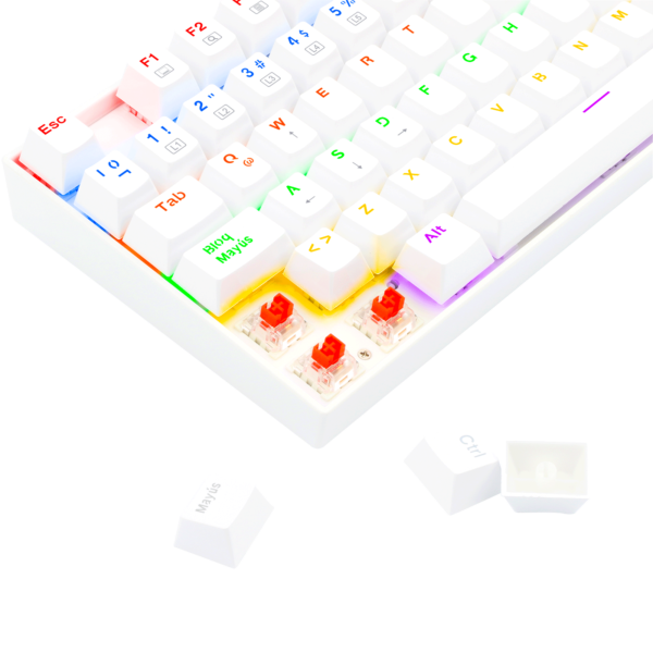 K552W-KR-SPS-KUMARA-RAINBOW-WHITE-SPAIN7.png